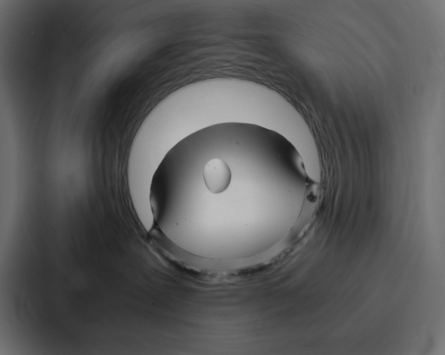 X0000086740239200705111641