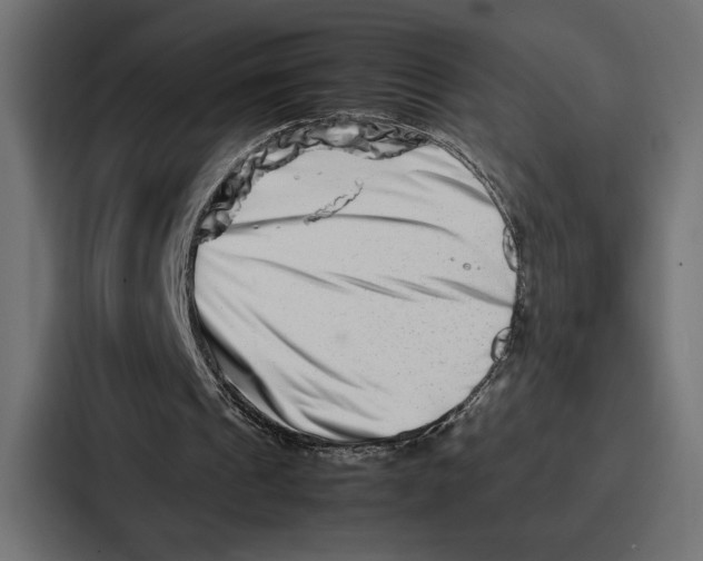 X0000086740241200705111640