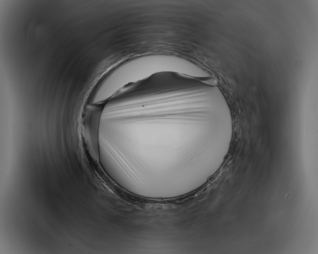 X0000086740242200705111640