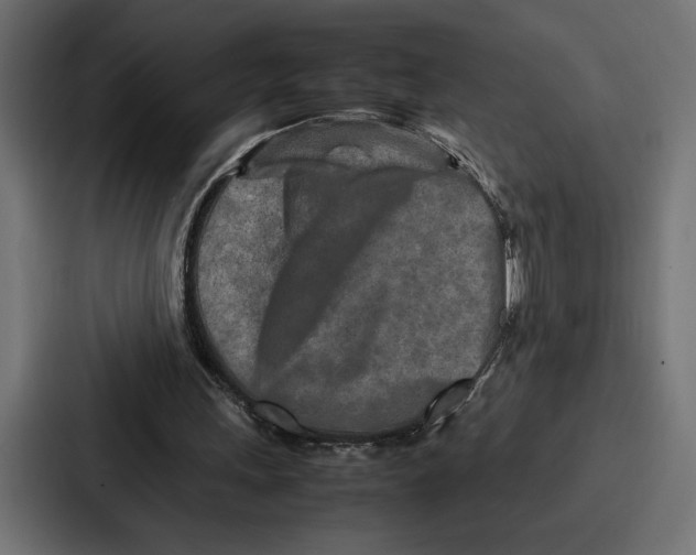 X0000086740243200705111640