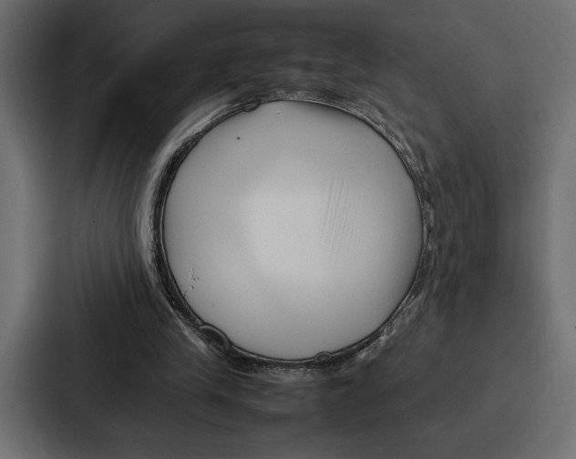 X0000086740245200705111640