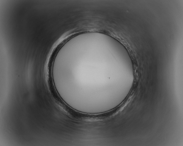 X0000086740246200705111640