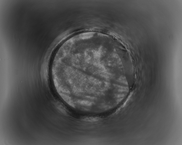 X0000086740247200705111640