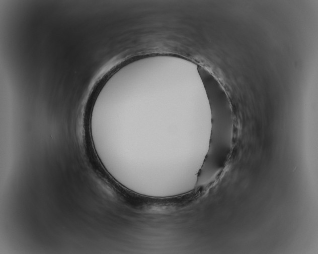X0000086740248200705111640