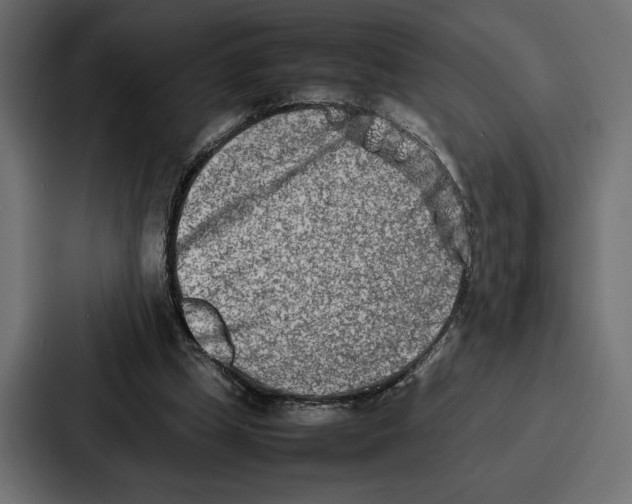 X0000086740249200705111640