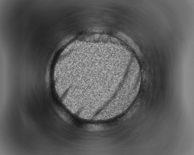X0000086740250200705111640
