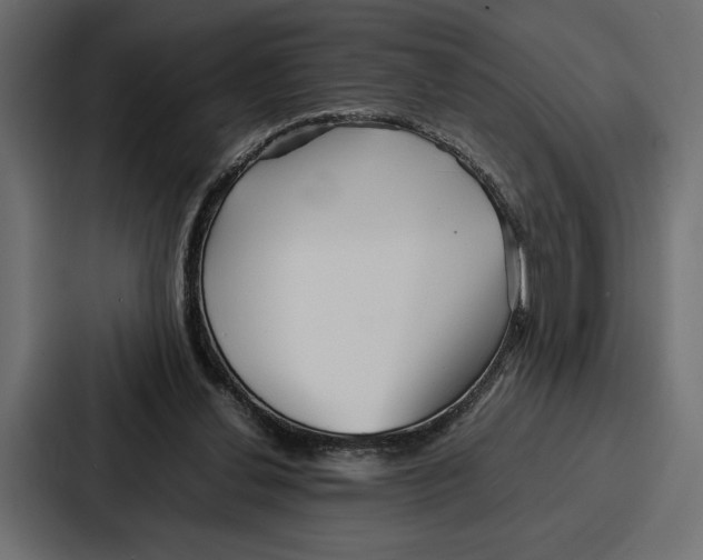 X0000086740252200705111640