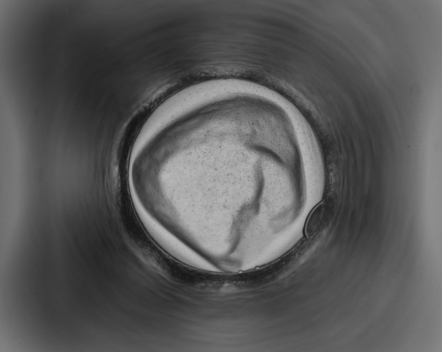 X0000086740254200705111640
