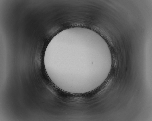 X0000086740255200705111640
