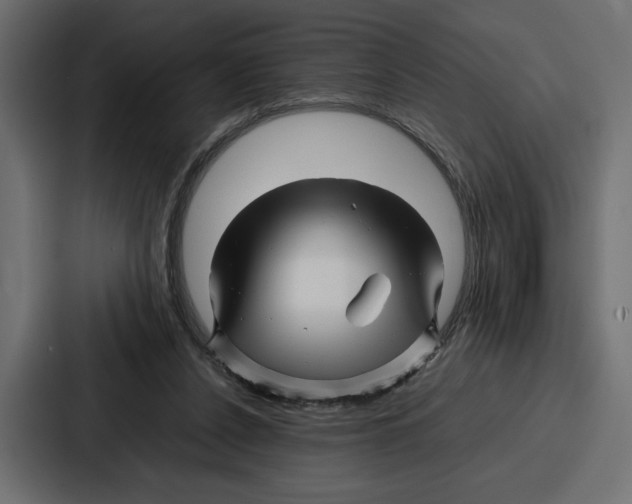 X0000086740256200705111640