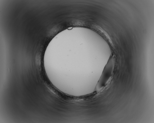 X0000086740257200705111640