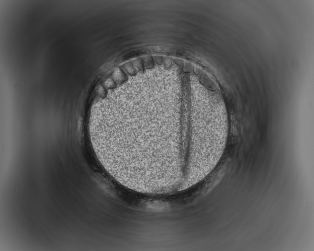 X0000086740258200705111640