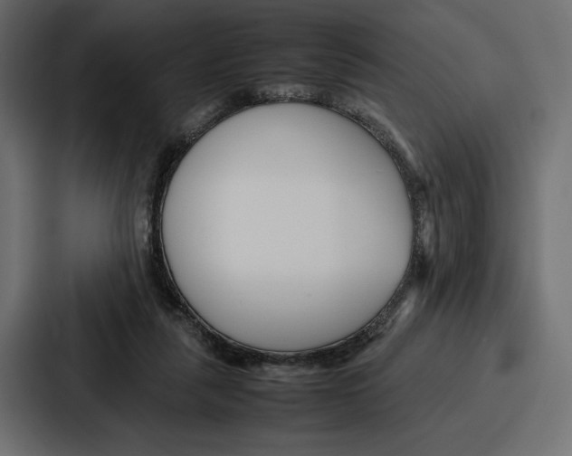 X0000086740259200705111641