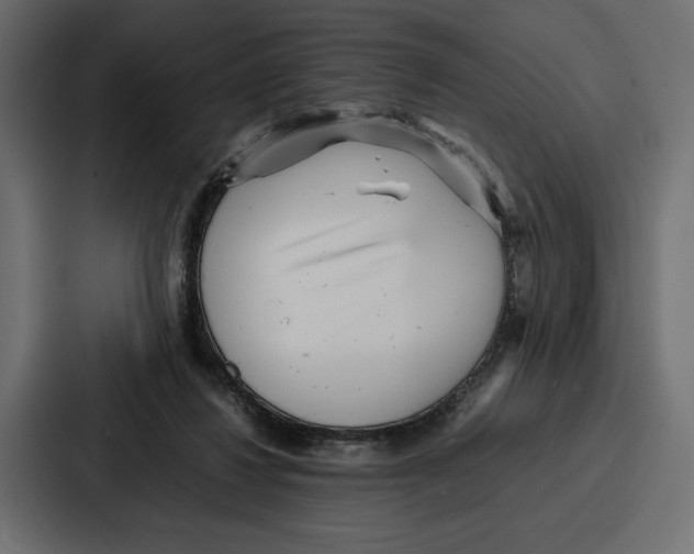 X0000086740260200705111641