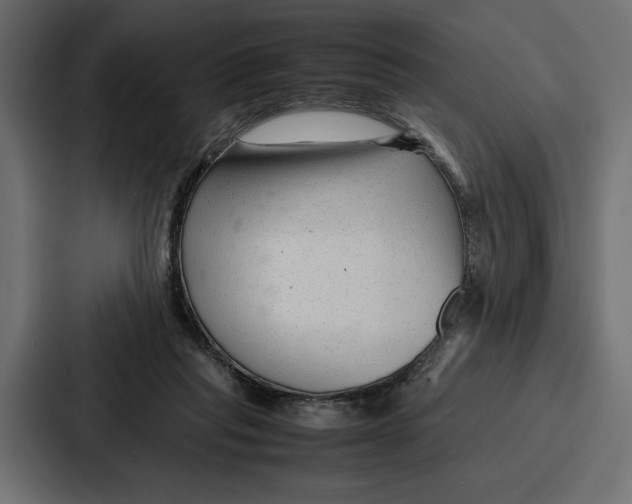 X0000086740261200705111641