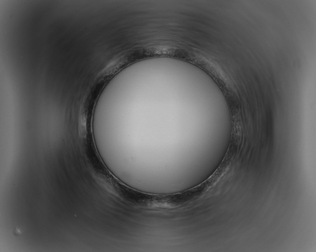 X0000086740262200705111641