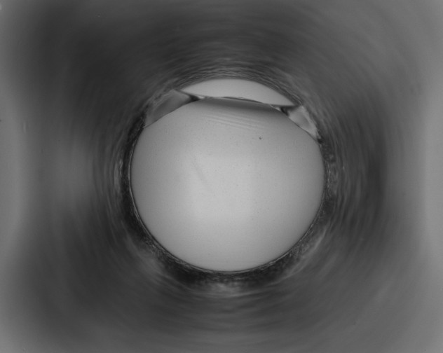 X0000086740263200705111641