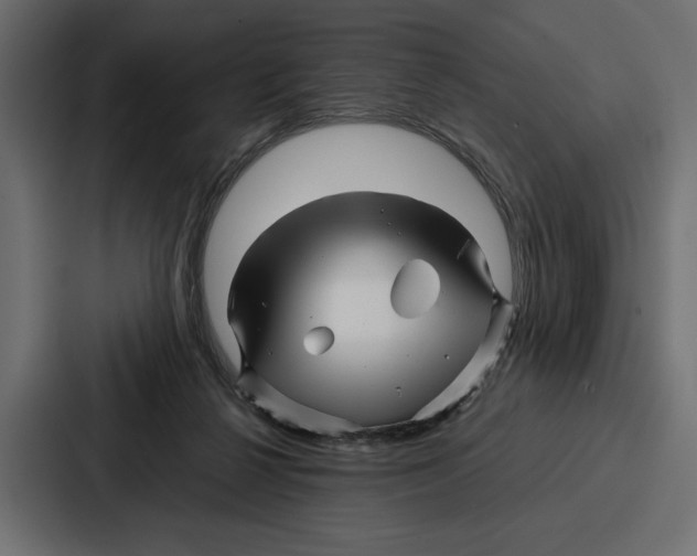 X0000086740264200705111641