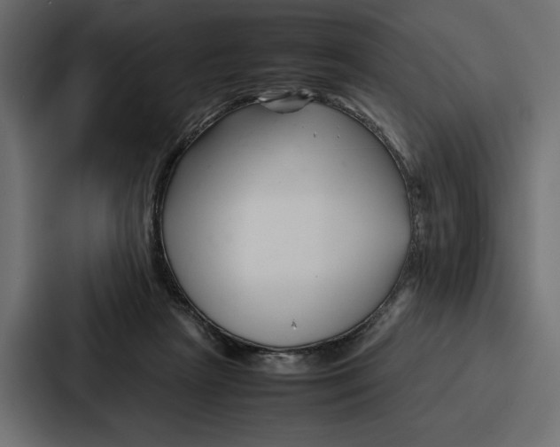 X0000086740265200705111641