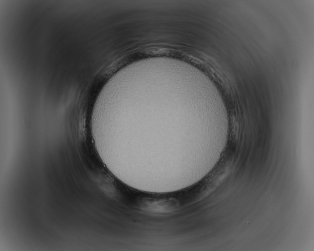 X0000086740267200705111641