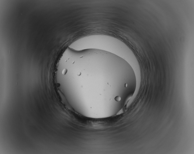 X0000086740268200705111641