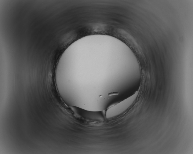 X0000086740269200705111641