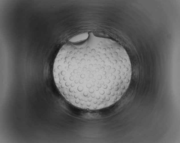X0000086740270200705111641
