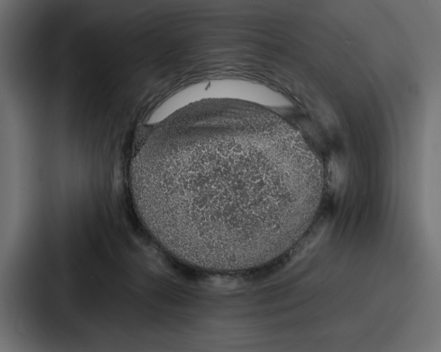 X0000086740272200705111641