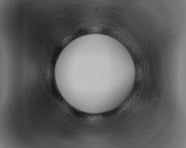 X0000086740274200705111641