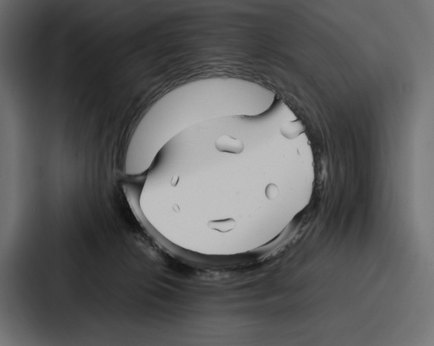 X0000086740276200705111641