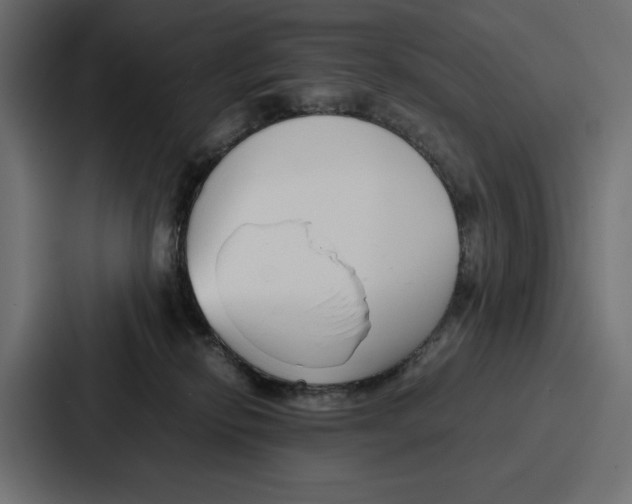 X0000086740278200705111641