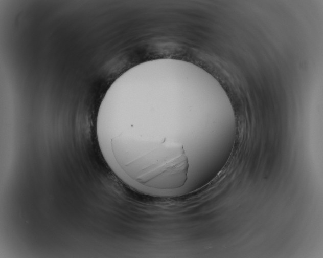 X0000086740279200705111641