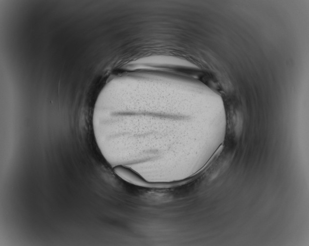 X0000086740280200705111641