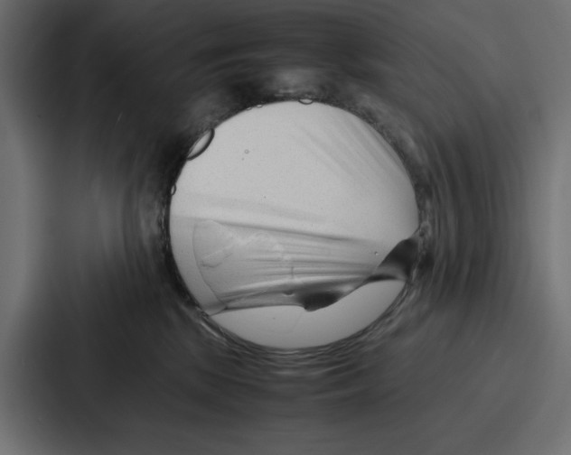 X0000086740281200705111641