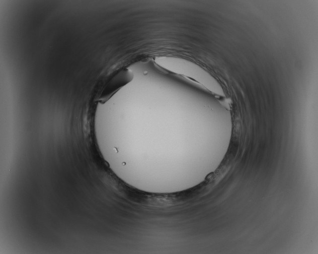 X0000086740282200705111641