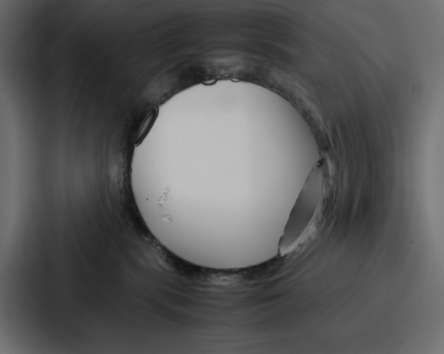 X0000086740283200705111641