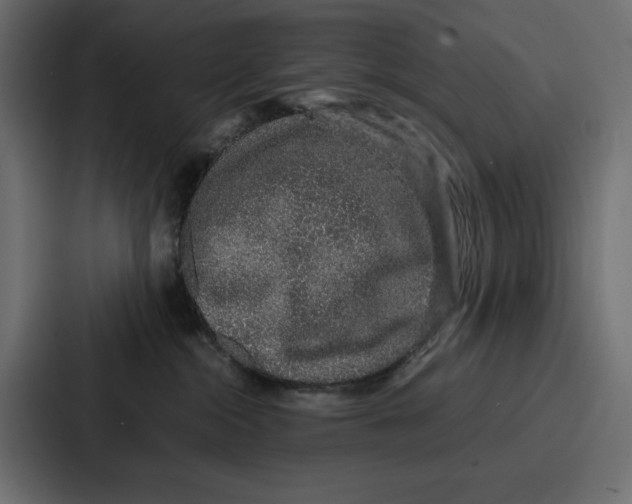 X0000086740284200705111641