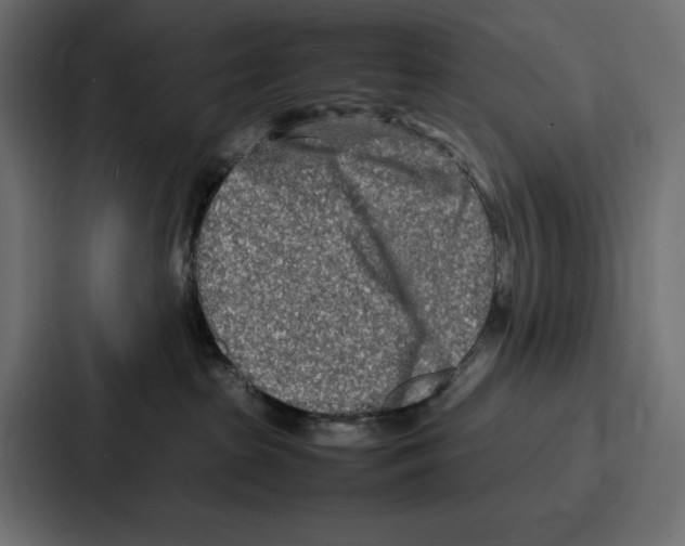 X0000086740285200705111641