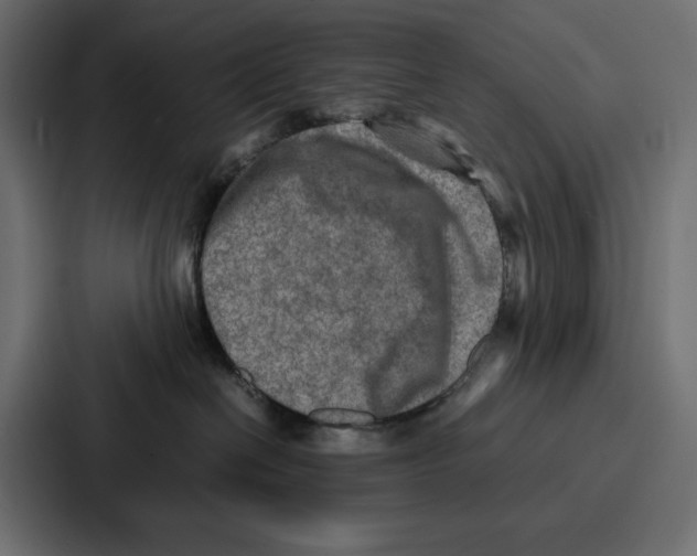 X0000086740286200705111641