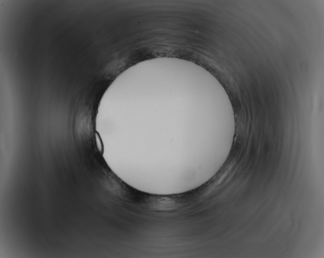 X0000086740287200705111641