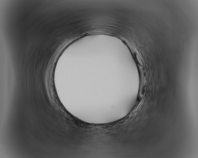 X0000086740289200705111640