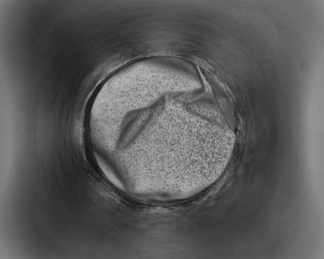 X0000086740290200705111640