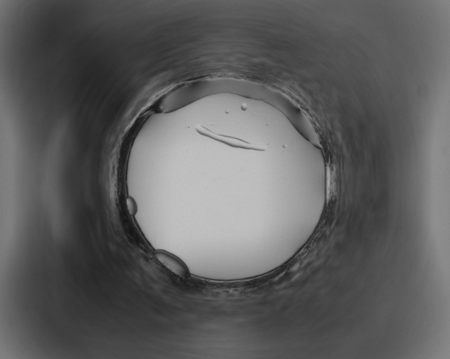 X0000086740291200705111640