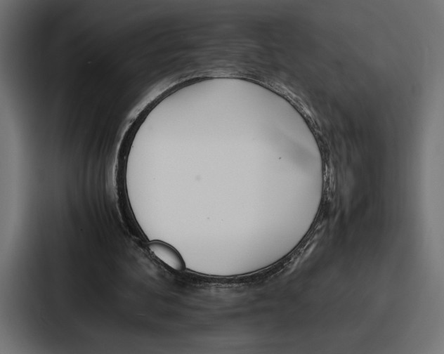 X0000086740292200705111640