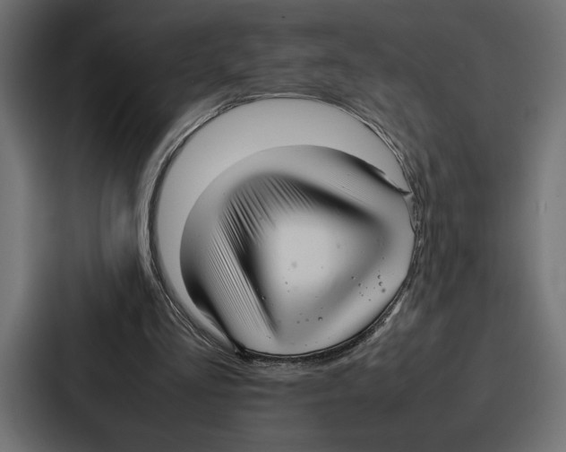X0000086740293200705111640