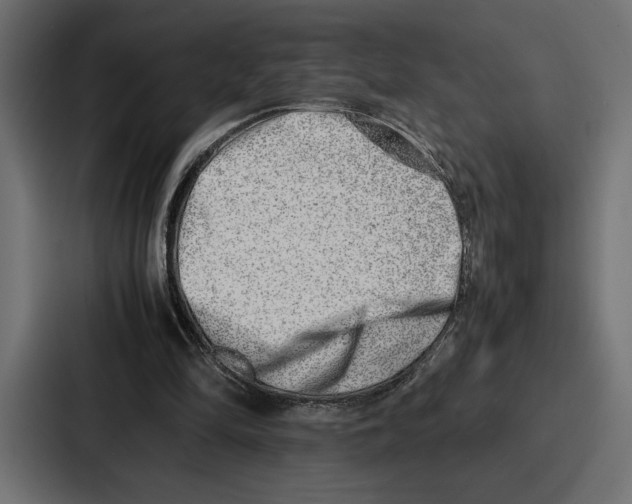 X0000086740294200705111640