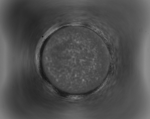 X0000086740295200705111640