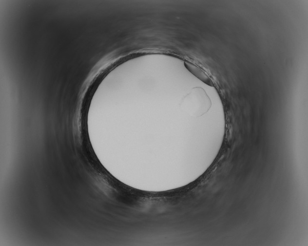 X0000086740296200705111640