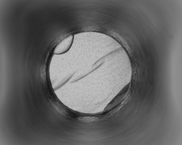 X0000086740298200705111640