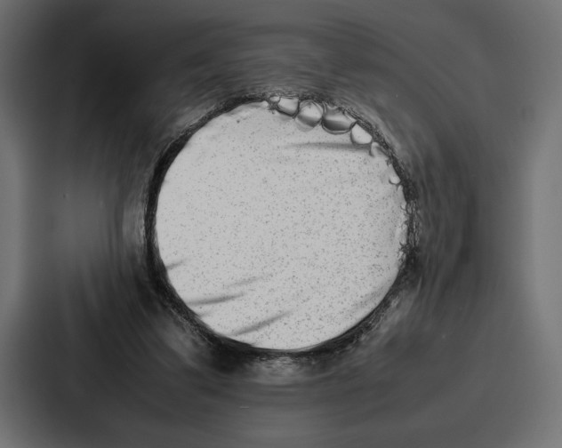 X0000086740299200705111640